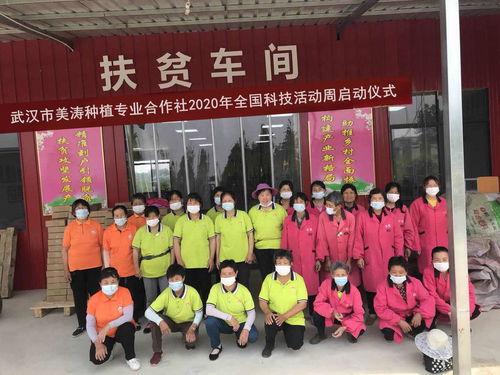 科技賦能農業 美濤助力鄉村振興——武漢美濤積極參與全國科技活動周紀實