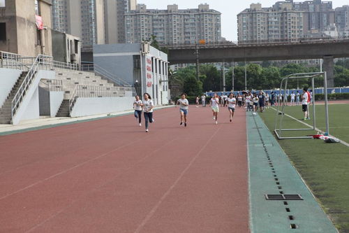 物交院上演趣味素質拓展 體驗式活動策劃與精彩瞬間